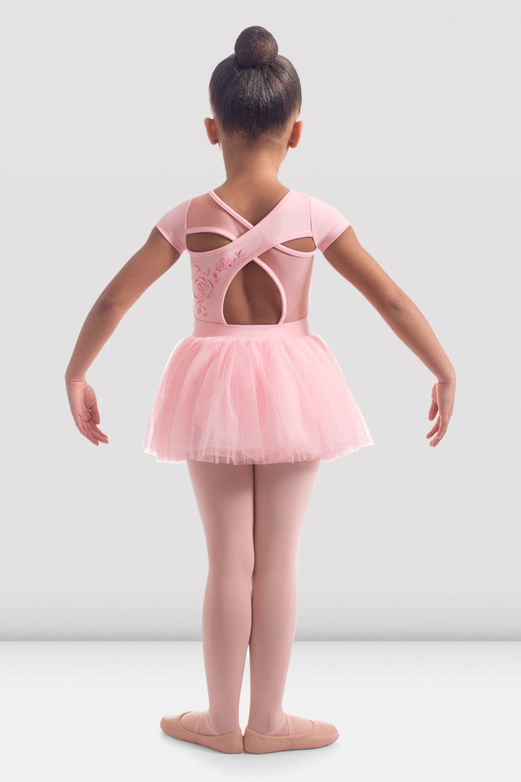 Cap Sleeve Rose Embroidered Tutu Dress
