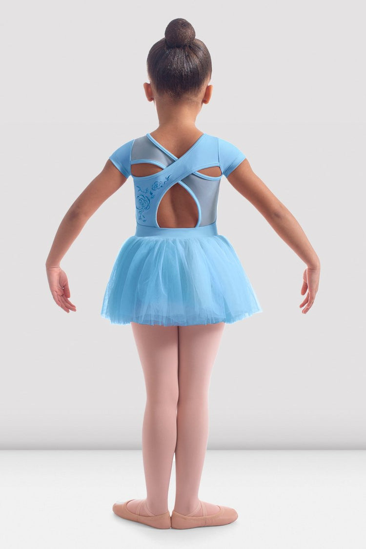 Cap Sleeve Rose Embroidered Tutu Dress