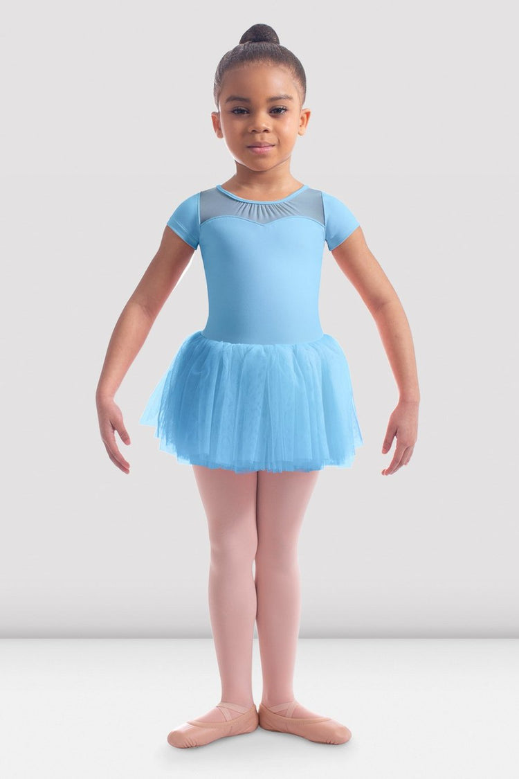 Cap Sleeve Rose Embroidered Tutu Dress